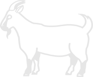 the-goat.png