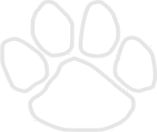 paw.png