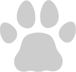 paw.png