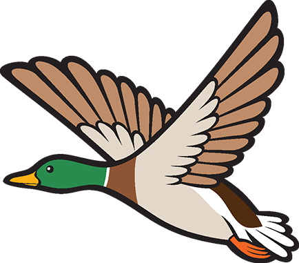 duck-hunt.png